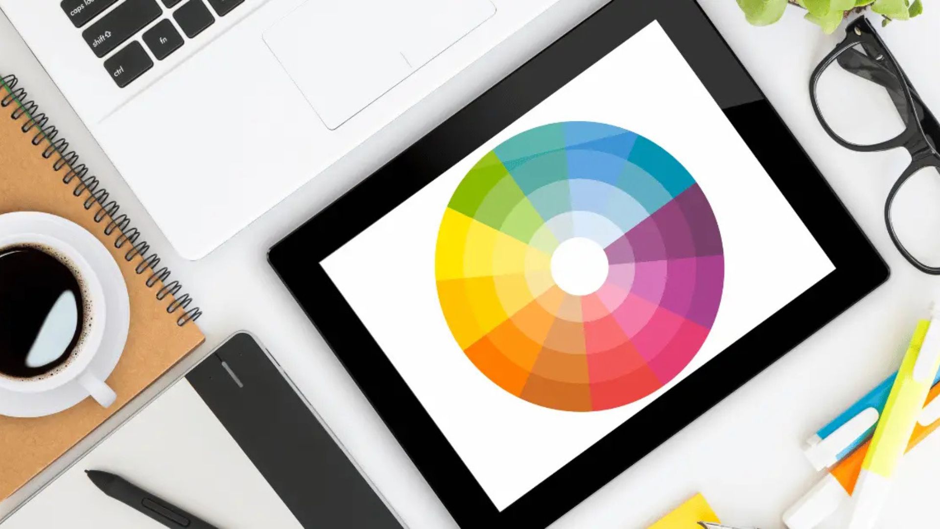 Graphic Design Basics Every Brand Should Know